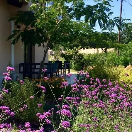 Azur 3 - Panoramic Escape *